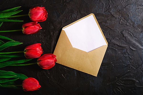 포토 JPG 해외이미지 스튜디오촬영 꽃다발 검은배경 편지봉투 실내 사람없음 튤립 해외포토 꽃 백그라운드 봉투 내부 검은색 편지 파일형식