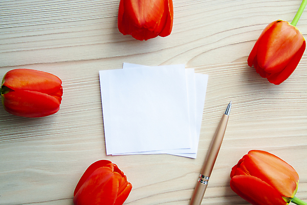 포토 JPG 해외이미지 스튜디오촬영 종이 실내 사람없음 펜 튤립 나무바닥 해외포토 꽃 바닥 내부 필기구 파일형식