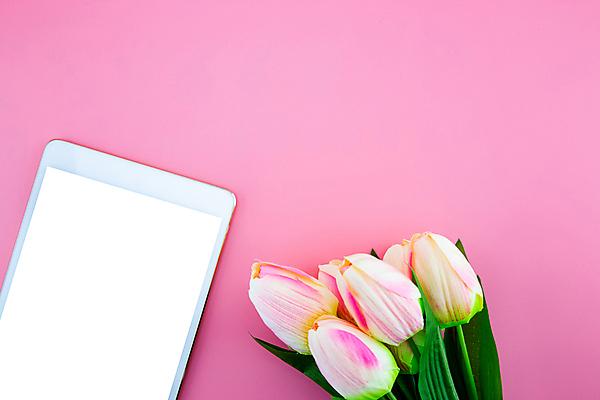 포토 JPG 해외이미지 스튜디오촬영 꽃다발 프레임 실내 사람없음 태블릿 튤립 분홍색배경 해외포토 꽃 분홍색 백그라운드 내부 전자제품 스마트기기 파일형식