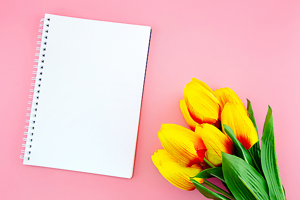 포토 JPG 해외이미지 스튜디오촬영 꽃다발 프레임 실내 사람없음 튤립 스프링노트 분홍색배경 해외포토 꽃 분홍색 백그라운드 내부 공책 파일형식