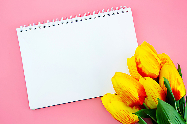 포토 JPG 해외이미지 스튜디오촬영 꽃다발 프레임 실내 사람없음 튤립 스프링노트 분홍색배경 해외포토 꽃 분홍색 백그라운드 내부 공책 파일형식