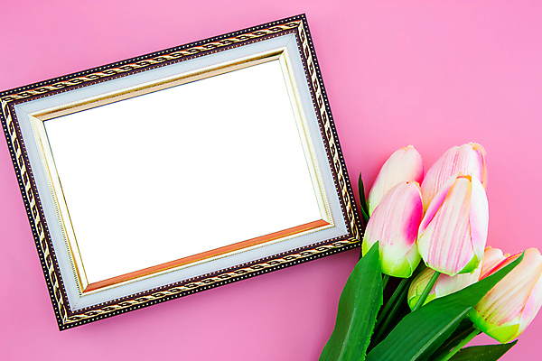 포토 JPG 해외이미지 스튜디오촬영 꽃다발 액자 프레임 실내 사람없음 튤립 분홍색배경 국경 해외포토 꽃 분홍색 백그라운드 내부 파일형식