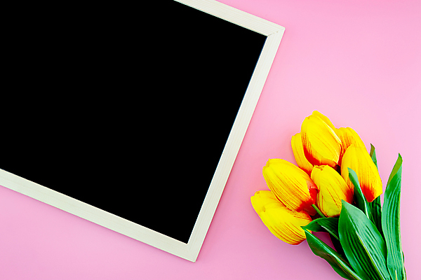 포토 JPG 해외이미지 스튜디오촬영 꽃다발 프레임 실내 사람없음 칠판 튤립 분홍색배경 해외포토 꽃 분홍색 백그라운드 내부 파일형식