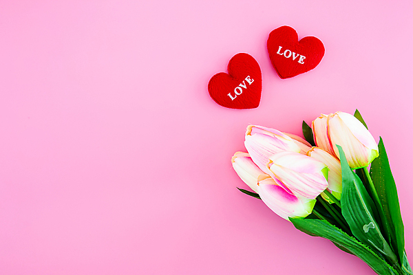 포토 JPG 해외이미지 스튜디오촬영 꽃다발 실내 사람없음 튤립 하트 분홍색배경 해외포토 모양 꽃 분홍색 백그라운드 내부 파일형식