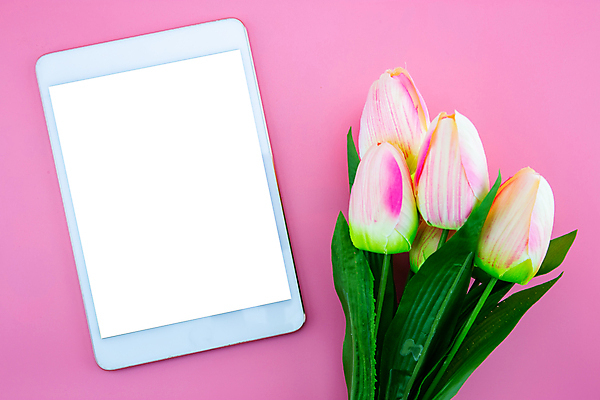 포토 JPG 해외이미지 스튜디오촬영 꽃다발 프레임 실내 사람없음 태블릿 튤립 분홍색배경 해외포토 꽃 분홍색 백그라운드 내부 전자제품 스마트기기 파일형식