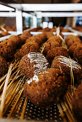 포토 JPG 한국 실내 근접촬영 사람없음 아웃포커스 된장 볏짚 충청남도 발효 메주 곰팡이 국내여행 국내포토 아시아 뷰포인트 여행 촬영기법 내부 양념 짚 충청도 파일형식