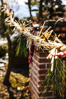 포토 JPG 주간 고추 한국 근접촬영 사람없음 야외 아웃포커스 충청남도 솔잎 국내여행 금줄 국내포토 자연요소 아시아 줄 뷰포인트 여행 잎 채소 촬영기법 충청도 파일형식