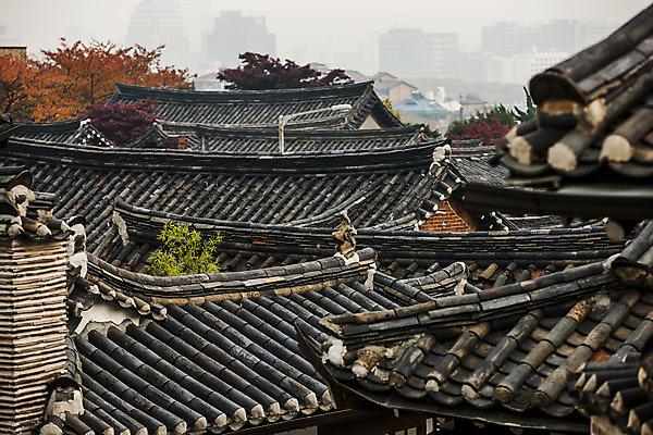 포토 JPG 주간 한옥 서울 풍경 사람없음 야외 안개 가을 기와지붕 국내여행 종로 국내포토 자연요소 한국전통 계절 여행 고건축 지붕 날씨 한국 기와 파일형식