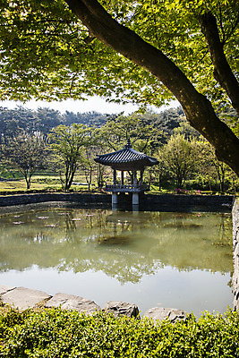 포토 JPG 주간 나무 한국 풍경 사람없음 야외 반사 연못 충청남도 정자 국내여행 서원 서천 국내포토 자연요소 식물 건축물 아시아 여행 충청도 파일형식