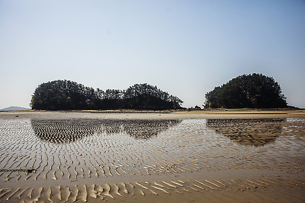 포토 JPG 주간 섬 하늘 한국 풍경 사람없음 야외 숲 충청남도 갯벌 국내여행 서해 국내포토 자연요소 아시아 바다 여행 충청도 파일형식