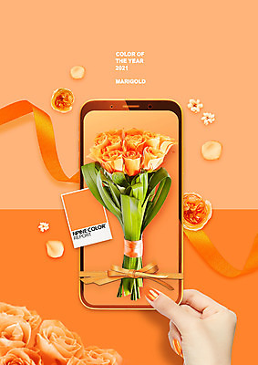 PSD 편집이미지 손 리본 컬러 꽃다발 들기 신체부위 스마트폰 장미 유행 2021년 이미지편집 꽃 모션 사람 핸드폰 스마트기기 연도 파일형식