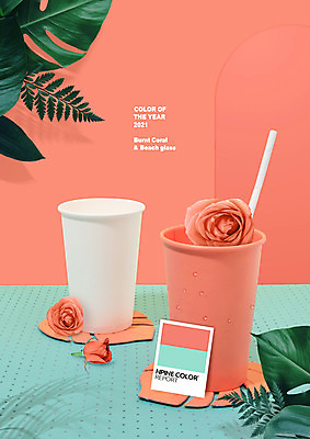 PSD 편집이미지 컬러 잎 빨대 사람없음 장미 유행 종이컵 컵받침 몬스테라 민트색 2021년 코랄 이미지편집 식물 꽃 컵 일회용 연도 받침대 파일형식