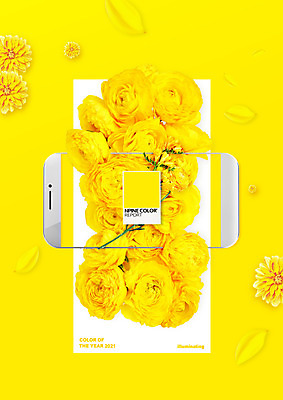 PSD 편집이미지 컬러 사람없음 스마트폰 장미 노란색 유행 라넌큘러스 2021년 트렌드컬러 일루미네이팅 이미지편집 꽃 핸드폰 스마트기기 연도 파일형식 트랜드컬러