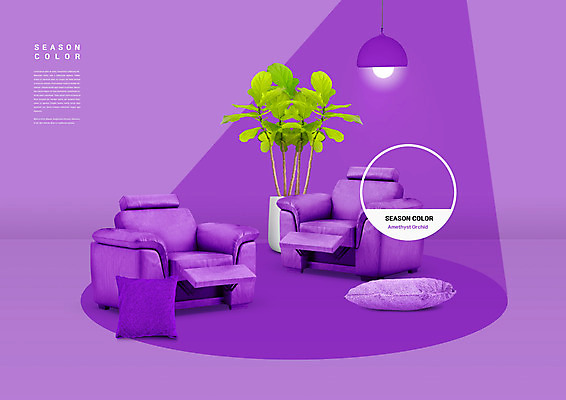 PSD 식물 편집이미지 화분 컬러 의자 조명 사람없음 소파 유행 보라색 2021년 이미지편집 가구 연도 파일형식