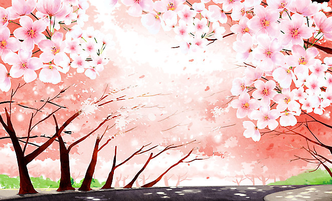 PSD 길 분홍색 일러스트 봄꽃 사람없음 봄풍경 봄 벚꽃 벚나무 국내일러스트 나무 계절 꽃 컬러 풍경 파일형식