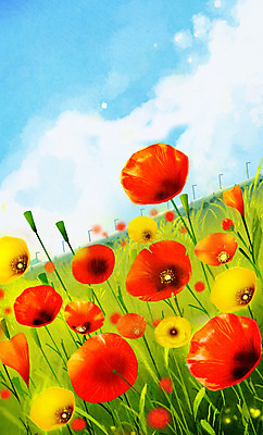 PSD 구름 일러스트 봄꽃 하늘 사람없음 봄풍경 봄 양귀비 국내일러스트 자연요소 계절 꽃 풍경 파일형식