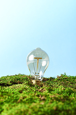 포토 JPG 스튜디오촬영 비즈니스 전구 아이디어 실내 이끼 초원 사람없음 그린에너지 소프트포커스 오브젝트 파란배경 창의력 그린뉴딜 국내포토 백그라운드 컨셉 촬영기법 내부 경제 파란색 환경 에너지 파일형식