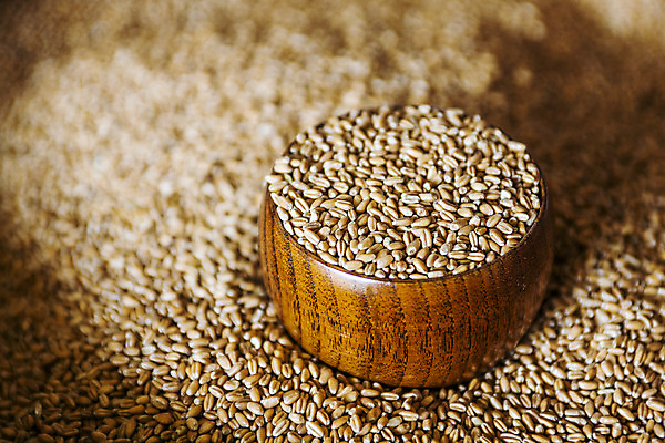 포토 JPG 곡류 실내 사람없음 아웃포커스 밀 경상남도 특산물 방앗간 나무그릇 진주시 국내포토 그릇 촬영기법 내부 목재 경상도 파일형식