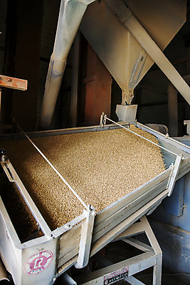 포토 JPG 곡류 실내 사람없음 밀 경상남도 특산물 방앗간 진주시 국내포토 내부 경상도 파일형식