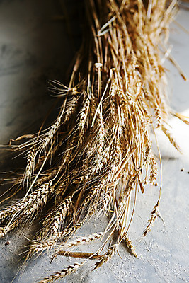 포토 JPG 회색배경 곡류 실내 사람없음 밀 경상남도 특산물 방앗간 진주시 국내포토 백그라운드 내부 회색 경상도 파일형식