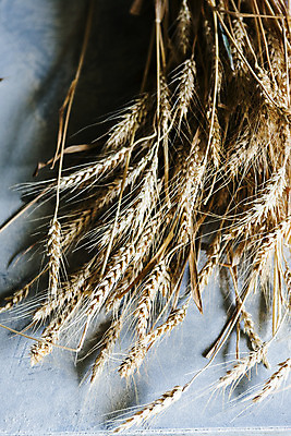 포토 JPG 회색배경 곡류 실내 사람없음 밀 경상남도 특산물 방앗간 진주시 국내포토 백그라운드 내부 회색 경상도 파일형식