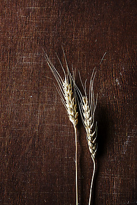 포토 JPG 곡류 실내 사람없음 밀 경상남도 특산물 방앗간 진주시 갈색배경 국내포토 백그라운드 내부 갈색 경상도 파일형식