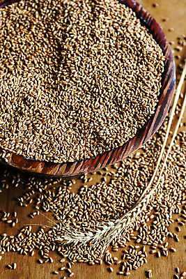 포토 JPG 곡류 실내 사람없음 밀 경상남도 특산물 방앗간 진주시 갈색배경 국내포토 백그라운드 내부 갈색 경상도 파일형식