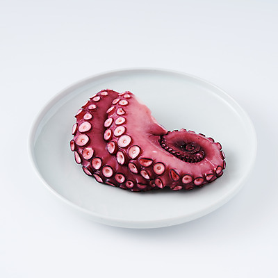 포토 JPG 스튜디오촬영 접시 음식 식재료 실내 사람없음 해산물 흰배경 문어 문어다리 빨판 문어숙회 국내포토 식기 백그라운드 연체동물 내부 수중동물 흰색 숙회 파일형식