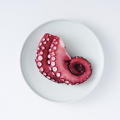 포토 JPG 스튜디오촬영 접시 음식 식재료 실내 사람없음 하이앵글 해산물 흰배경 문어 문어다리 빨판 문어숙회 국내포토 식기 뷰포인트 백그라운드 연체동물 내부 수중동물 흰색 숙회 파일형식