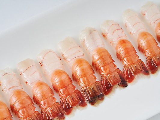 포토 JPG 스튜디오촬영 접시 음식 식재료 실내 근접촬영 사람없음 해산물 흰배경 새우회 딱새우 국내포토 식기 뷰포인트 백그라운드 새우 내부 회 흰색 파일형식