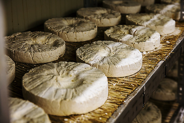 포토 JPG 한국전통 실내 사람없음 볏짚 경상북도 특산물 일렬 발효 발효음식 식초 예천 누룩 국내포토 전통 음식 한국 내부 짚 경상도 파일형식