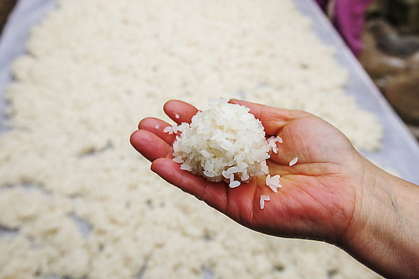 포토 JPG 한국전통 손 실내 들기 아웃포커스 신체부위 제조 충청남도 전통주 제조과정 고두밥 국내포토 전통 모션 밥 주류 한국 촬영기법 사람 내부 충청도 과정 파일형식