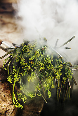 포토 JPG 주간 식재료 사람없음 야외 연기 경상남도 특산물 고사리 남해군 삶기 산나물 국내포토 자연요소 채소 경상도 나물 파일형식