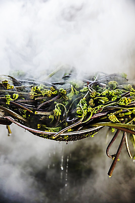 포토 JPG 주간 식재료 사람없음 야외 채망 연기 경상남도 특산물 고사리 남해군 삶기 산나물 국내포토 자연요소 채소 주방용품 경상도 나물 파일형식