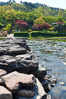 포토 JPG 주간 풍경 사람없음 야외 관광지 강 봄 문화재 숲 돌다리 충청북도 국내여행 돌징검다리 국내포토 자연요소 계절 여행 다리_건축물 충청도 징검다리 파일형식