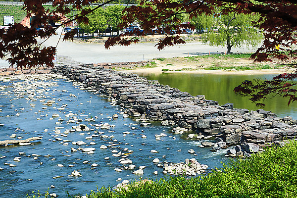 포토 JPG 주간 풍경 사람없음 야외 관광지 강 봄 문화재 돌다리 충청북도 국내여행 돌징검다리 국내포토 자연요소 계절 여행 다리_건축물 충청도 징검다리 파일형식