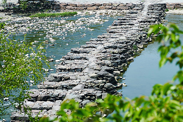 포토 JPG 주간 풍경 사람없음 야외 관광지 강 봄 문화재 소프트포커스 돌다리 충청북도 국내여행 돌징검다리 국내포토 자연요소 계절 여행 촬영기법 다리_건축물 충청도 징검다리 파일형식