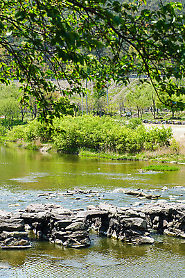 포토 JPG 주간 나뭇잎 풍경 사람없음 야외 관광지 강 봄 문화재 돌다리 충청북도 국내여행 돌징검다리 국내포토 자연요소 계절 여행 잎 다리_건축물 충청도 징검다리 파일형식