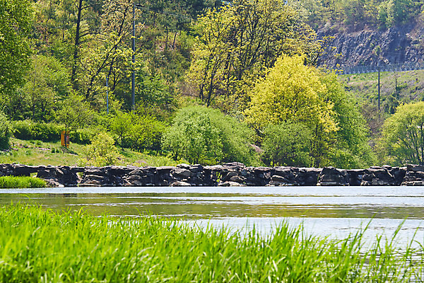 포토 JPG 주간 풍경 사람없음 야외 관광지 강 봄 문화재 숲 돌다리 충청북도 국내여행 돌징검다리 국내포토 자연요소 계절 여행 다리_건축물 충청도 징검다리 파일형식