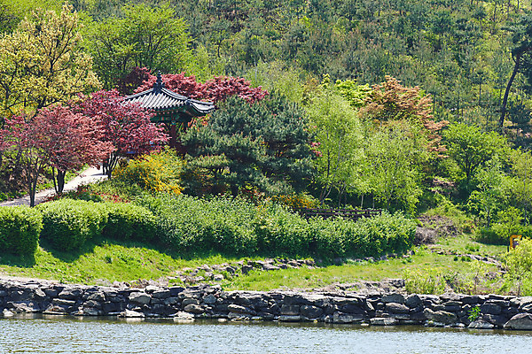 포토 JPG 주간 풍경 사람없음 야외 관광지 강 봄 문화재 숲 정자 돌다리 충청북도 국내여행 돌징검다리 국내포토 자연요소 건축물 계절 여행 다리_건축물 충청도 징검다리 파일형식