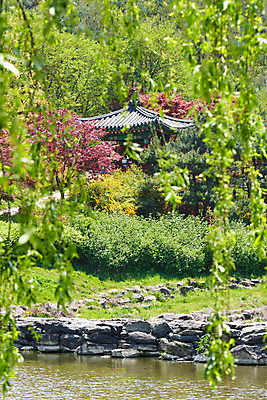 포토 JPG 주간 풍경 사람없음 야외 관광지 강 봄 문화재 소프트포커스 숲 정자 돌다리 충청북도 국내여행 돌징검다리 국내포토 자연요소 건축물 계절 여행 촬영기법 다리_건축물 충청도 징검다리 파일형식