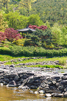포토 JPG 주간 풍경 사람없음 야외 관광지 강 봄 문화재 숲 정자 돌다리 충청북도 국내여행 돌징검다리 국내포토 자연요소 건축물 계절 여행 다리_건축물 충청도 징검다리 파일형식
