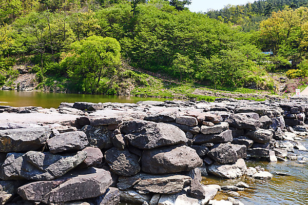 포토 JPG 주간 풍경 사람없음 야외 관광지 강 봄 문화재 숲 돌다리 충청북도 국내여행 돌징검다리 국내포토 자연요소 계절 여행 다리_건축물 충청도 징검다리 파일형식