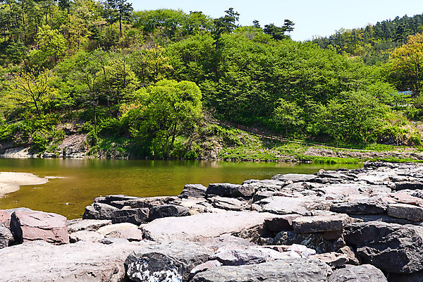 포토 JPG 주간 풍경 사람없음 야외 관광지 강 봄 문화재 숲 돌다리 충청북도 국내여행 돌징검다리 국내포토 자연요소 계절 여행 다리_건축물 충청도 징검다리 파일형식