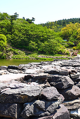 포토 JPG 주간 풍경 사람없음 야외 관광지 강 봄 문화재 숲 돌다리 충청북도 국내여행 돌징검다리 국내포토 자연요소 계절 여행 다리_건축물 충청도 징검다리 파일형식