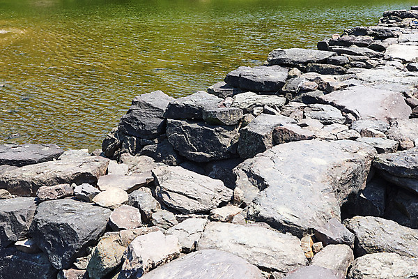 포토 JPG 주간 풍경 사람없음 야외 관광지 강 봄 문화재 돌다리 충청북도 국내여행 돌징검다리 국내포토 자연요소 계절 여행 다리_건축물 충청도 징검다리 파일형식