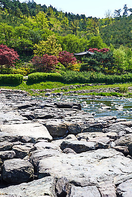 포토 JPG 주간 풍경 사람없음 야외 관광지 강 봄 문화재 숲 돌다리 충청북도 국내여행 돌징검다리 국내포토 자연요소 계절 여행 다리_건축물 충청도 징검다리 파일형식