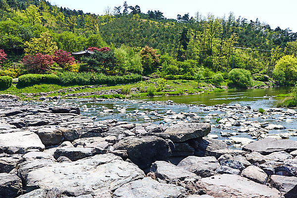 포토 JPG 주간 풍경 사람없음 야외 관광지 강 봄 문화재 숲 돌다리 충청북도 국내여행 돌징검다리 국내포토 자연요소 계절 여행 다리_건축물 충청도 징검다리 파일형식