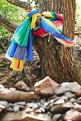 포토 JPG 주간 나무 풍경 사람없음 야외 관광지 봄 돌_바위 소프트포커스 묶기 천 충청북도 국내여행 국내포토 자연요소 식물 계절 여행 모션 촬영기법 직물 충청도 파일형식