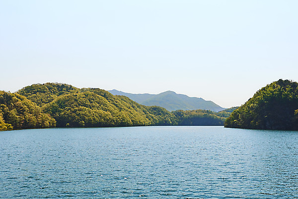 포토 JPG 주간 풍경 사람없음 야외 관광지 봄 숲 충청북도 국내여행 초평저수지 국내포토 자연요소 계절 여행 저수지 충청도 파일형식